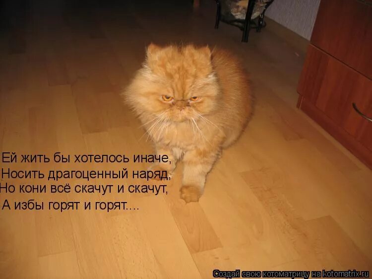 лошадь на скаку. женщина лошадка прикол. иначе вы так и будете думать что это прекрасно. а кони всё скачут и скачут а избы горят и горят стихотворение. а кони всё скачут и скачут а избы горят и горят.