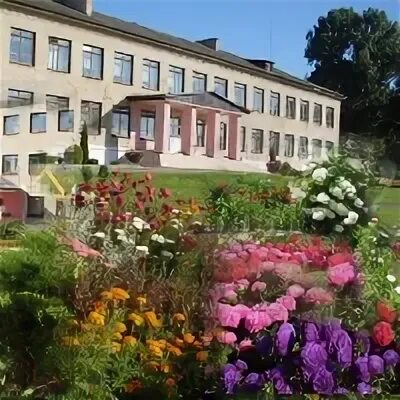 Вспомогательная школа-интернат 10 г. Школу-интернат минск. Вспомогательная школа интернат. Школа интернат 10. Вспомогательная школа интернат 7.