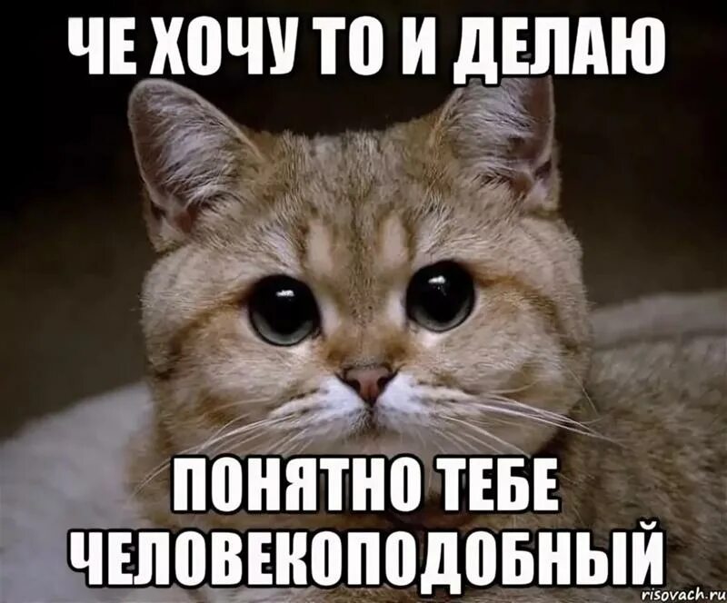 Делай че хочешь