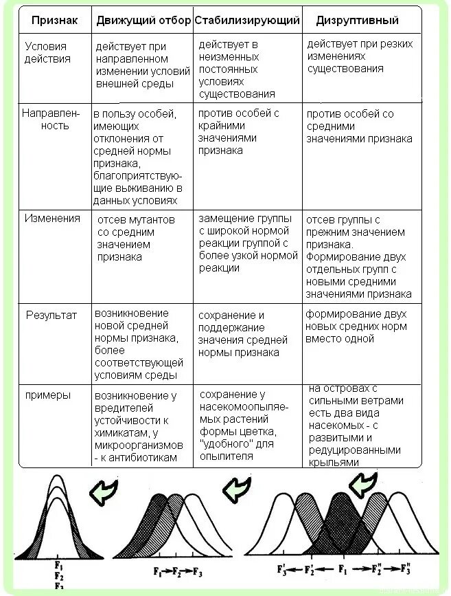 Заполните таблицу характеристика форм естественного отбора. Пути видообразования таблица. Способы видообразования биология таблица. Способы видообразования биология 11 класс таблица. Таблица по биологии 9 класс видообразование.