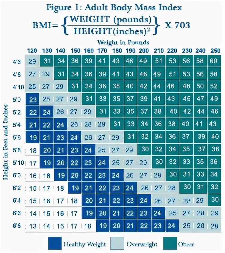 Шкала obese. Вес в фунтах. What is body Mass Index. What is the BMI. 155 фунтов в кг