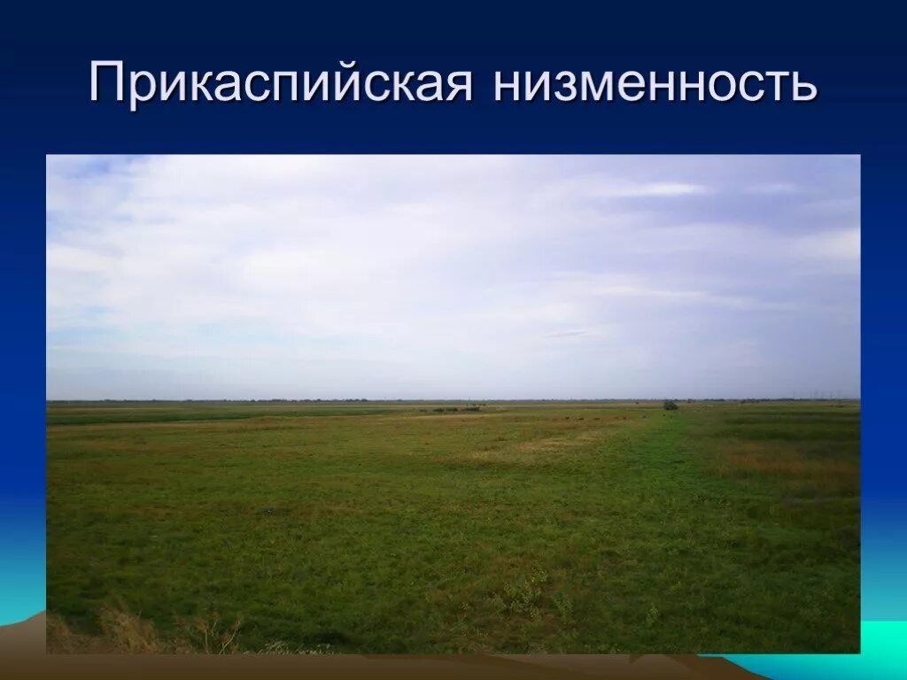 Прикаспийская низменность расположена в пределах европейского юга. Прикаспийская низменность -28 м. прикаспийская низменность пустыня. прикаспийская низменность рельеф. местоположение прикаспийской низменности.
