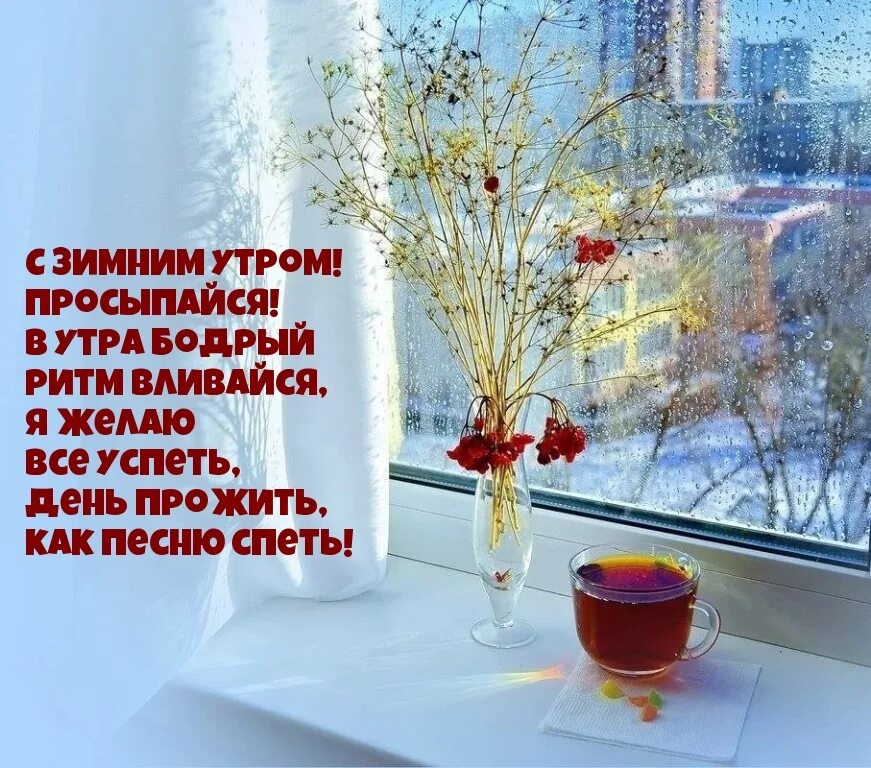 Доброе бодрое зимнее утро. Проснулись с добрым зимним утром. Просыпайтесь с добрым утром зимним. Просыпайся с добрым зимним утром.
