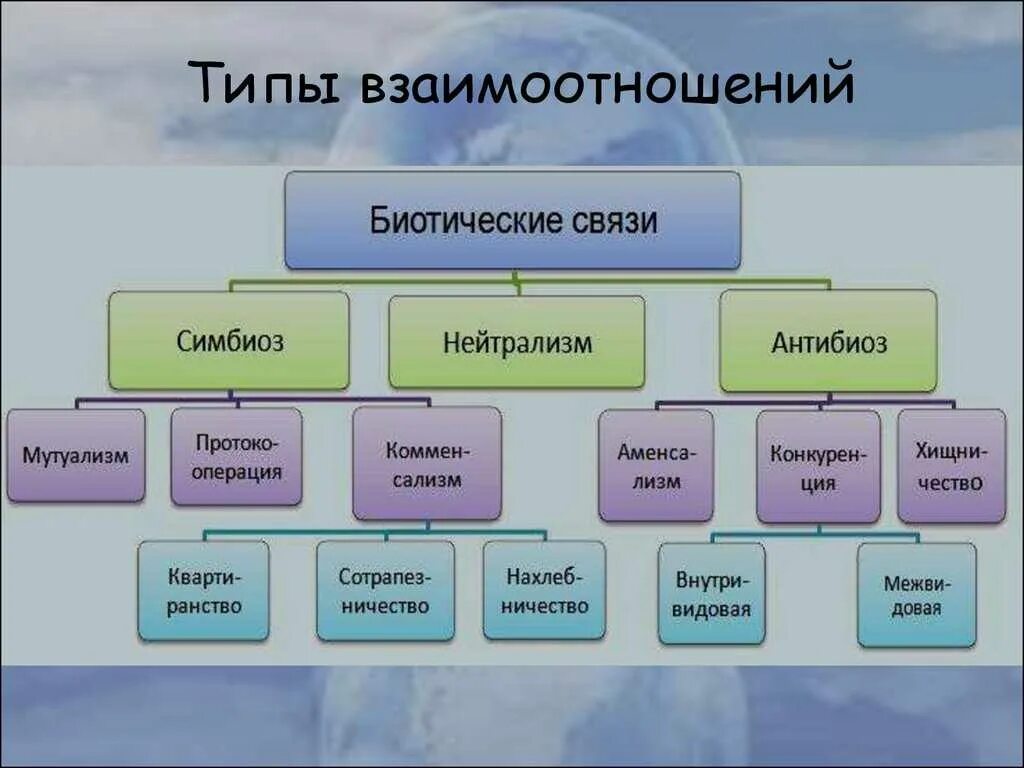 Положительные стороны симбиоза. Биотические связи организмов схема. Типы межвидовых взаимоотношений схема. Типы взаимодействия между организмами схема. Типы биотических взаимодействий схема.