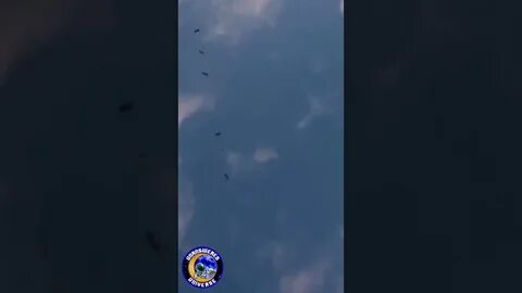 Спутники маска в небе над россией