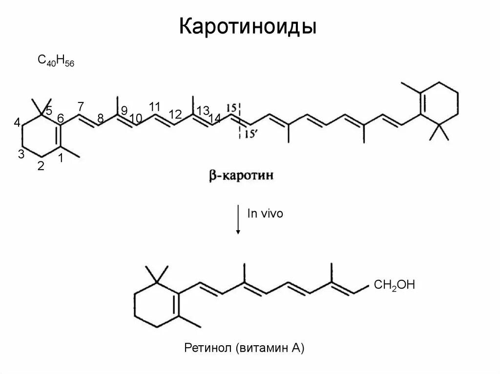 Каротиноиды относятся к витаминам из группы. Каротиноиды это витамин. Каротиноиды витамины. Каротиноиды. Каротиноиды витамины.