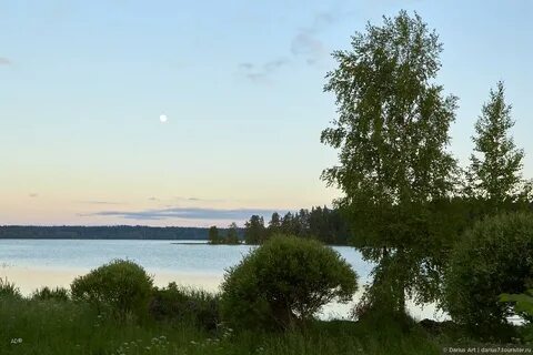 Валдайская жемчужина где находится