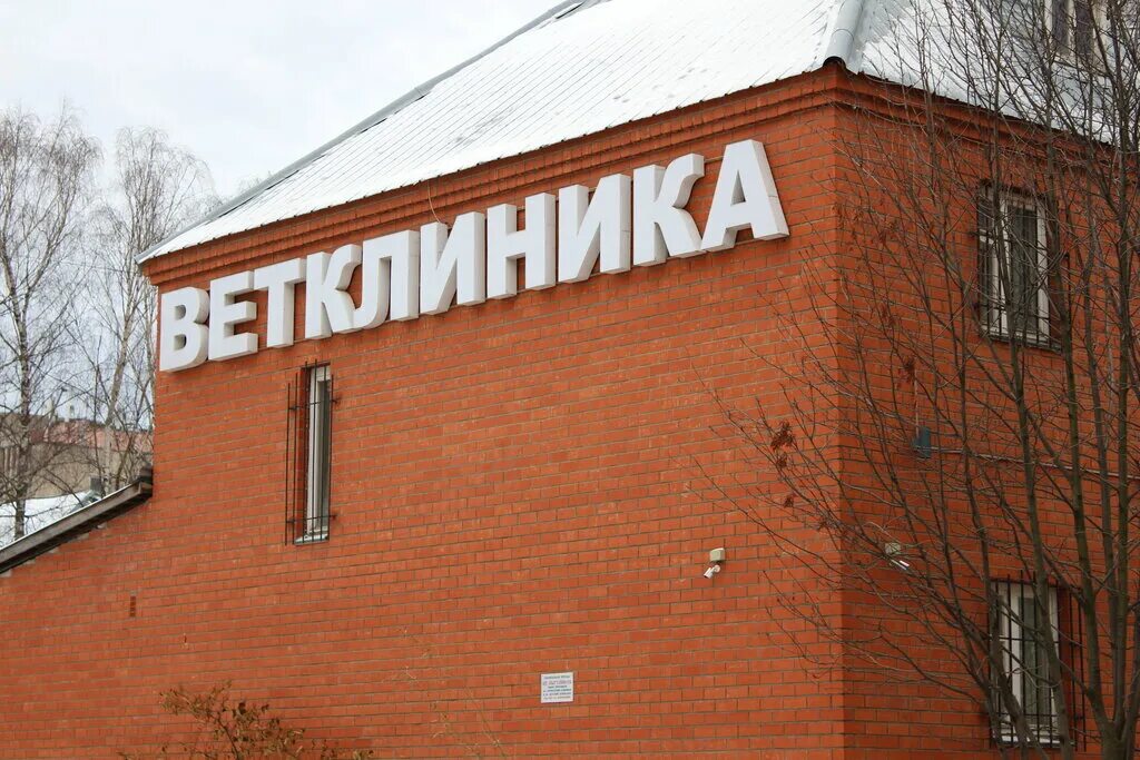 Ветклиника на подгорной 7. Многопрофильный ветеринарный центр , киров. Ветклиника верный друг киров. Ветеринарка киров. Верный друг киров подгорная.