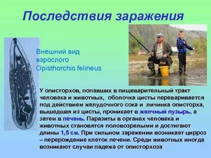Последствия заражения