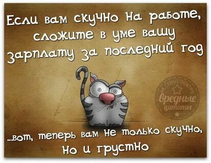 Смешные мысли картинки