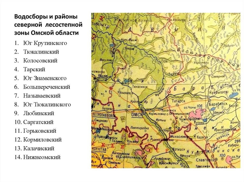 Природные зоны Омской области карта. Северная лесостепная зона Омской области. Карта Омской области по природным зонам. Реки Омской области на карте.