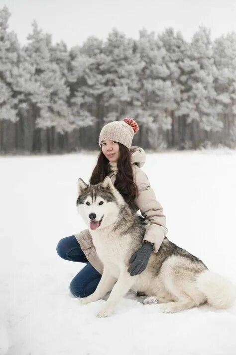 Девочка с собакой из лайка. Маламут хаски самоед. Фотосессия с хасками. Фотосессия с собакой зимой. Девушка и хаски.