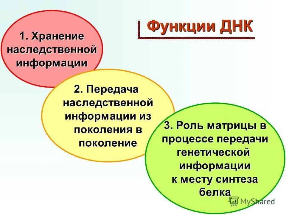 Свойства и функции наследственного материала. Понятие функции. Наследственный аппарат клетки функции. Наследственная функция. Наследственная функция.