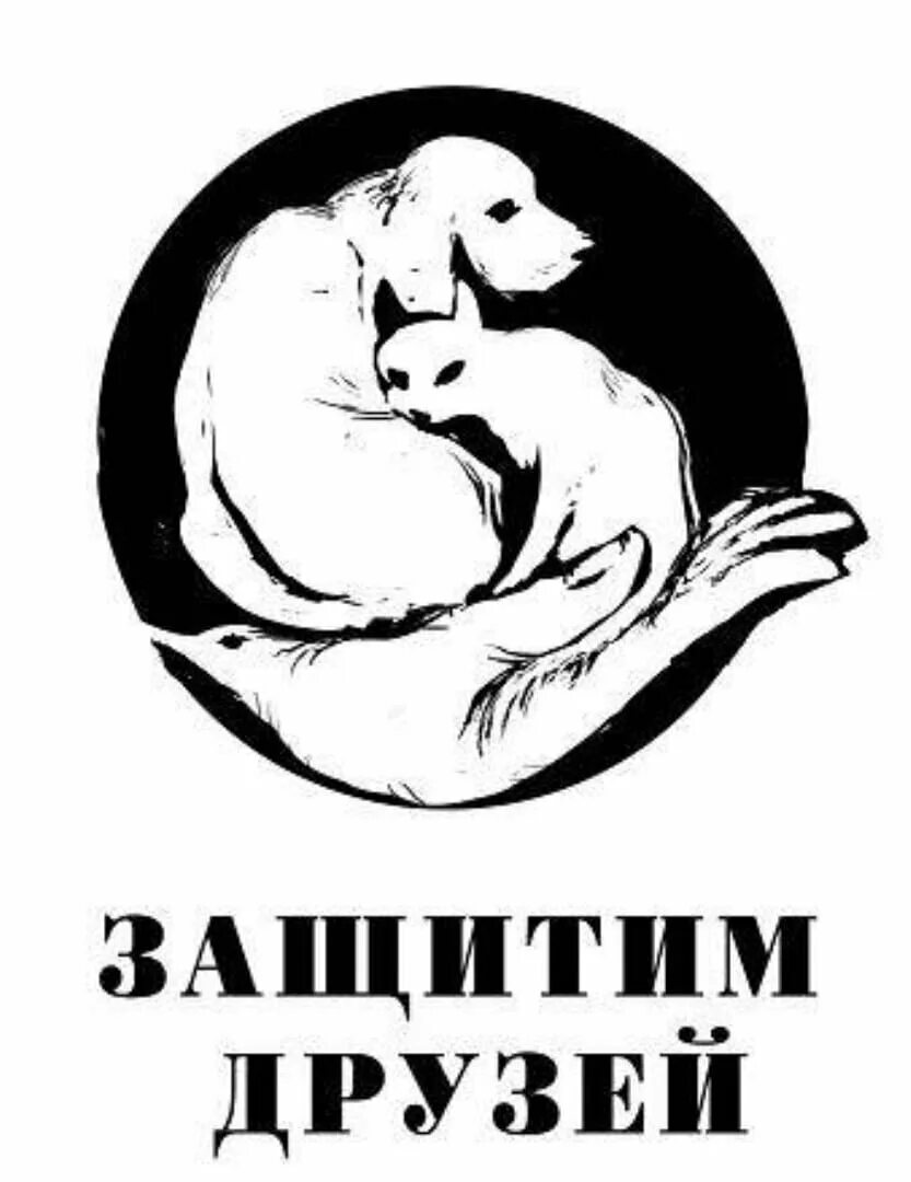 Защита животных. Лозунги по защите животных. Слоган о защите животных. Листовки о защите животных. Слоган животное