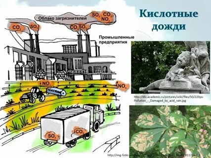 Нарисовать влияние человека на природу