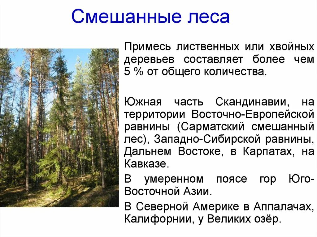 Характеристика смешанных лесов. Смешанные леса характеристика. Растения смешанных лесов. Смешанный лес характеристика. Смешанный лес факторы