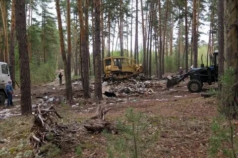 Просвет курганская область
