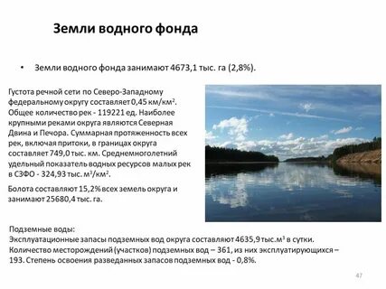 Водные объекты в лесном фонде