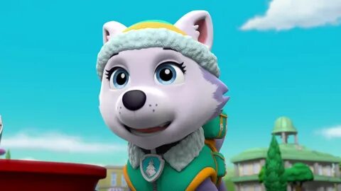 Paw patrol pups save