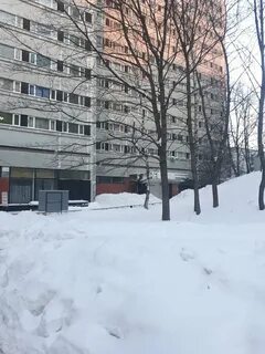 Общежитие академика волгина