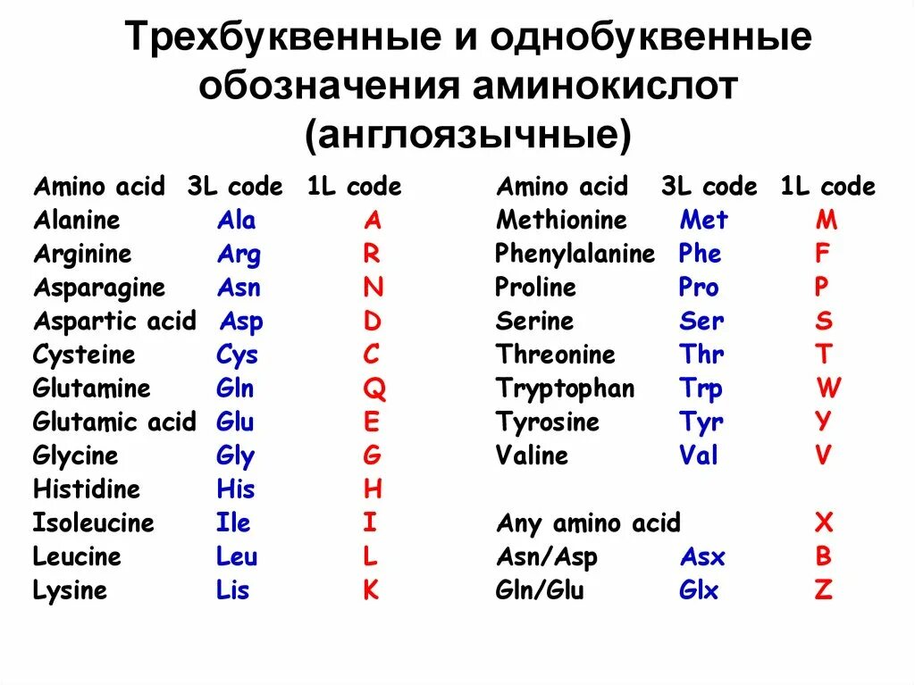 Сколько можно составить двухбуквенных. Буквенные обозначения аминокислот. Однобуквенные коды аминокислот. Однобуквенные названия аминокислот. Однобуквенные сокращения аминокислот.