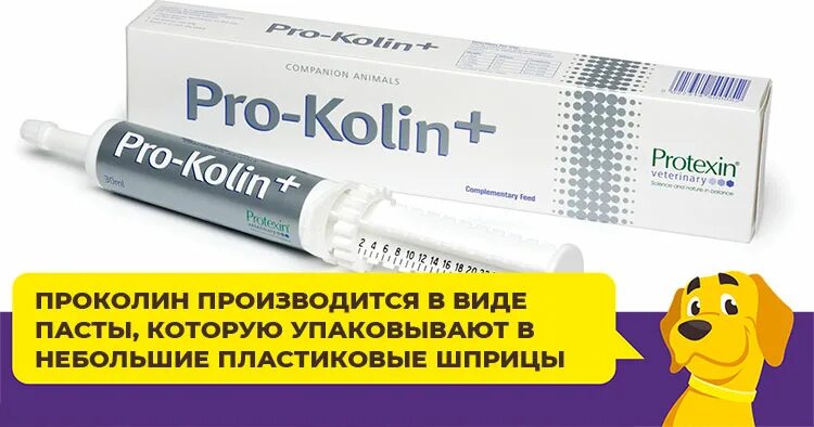 Прокалин. Pro Kolin для собак. Лекарство для собак Проколин. Проколин 15 мл. Проколин плюс для собак.