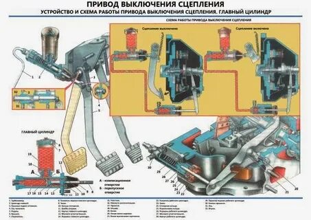 Сцепление газ 24