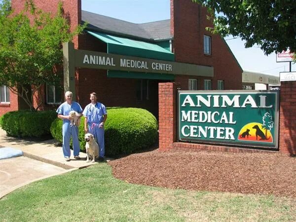 Animal centre. Баня пушкино общественная. Rspca. Animal centre. Animal centre.