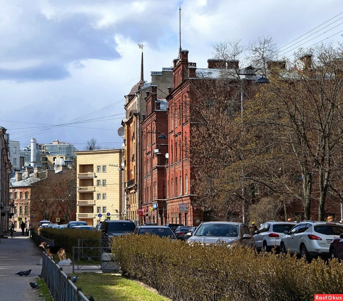 Улицы петроградской стороны спб. Петроградский район санкт-петербурга. Район петроградка спб. Петроградская площадь санкт-петербург. Петропавловская крепость забурдаев.