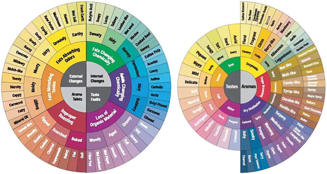 Рейтинг вкусовых качеств. Колесо вкусов кофе SCA. Counter Culture Coffee колесо вкусов. Колесо вкусов и ароматов. Палитра вкусов кофе.