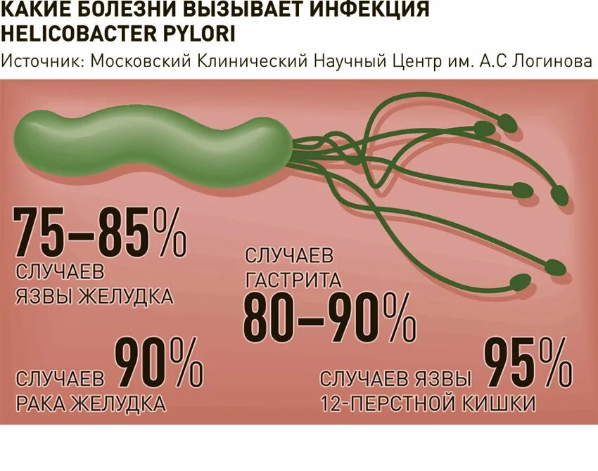 Причины появления хеликобактера. Инфицирование хеликобактер пилори. Заболевание, вызываемое хеликобактер пилори. Хеликобактер пути заражения. Способы заражения хеликобактер пилори.