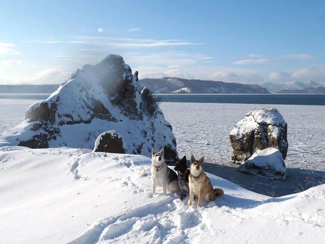 Курилы и камчатка зимой. Вулкан камчатка петропавловск камчатский. Плоский толбачик кальдера. Камчатка 2018. Ледники камчатки.