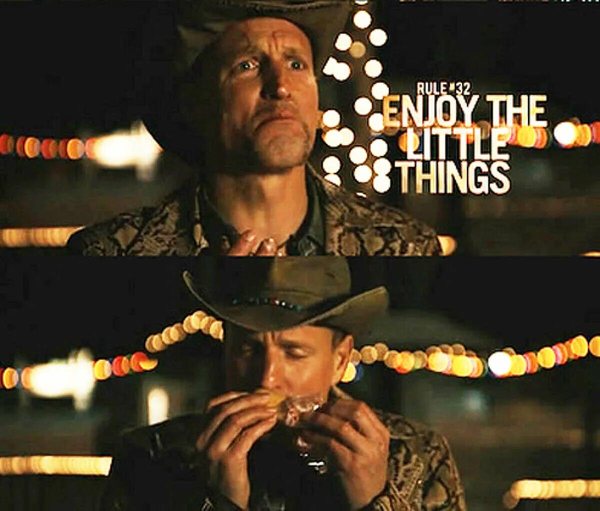 It s the little things. Твинкис Зомбилэнд. Таллахасси Зомбиленд. Twinkies Зомбилэнд. Радуйся мелочам Zombieland.