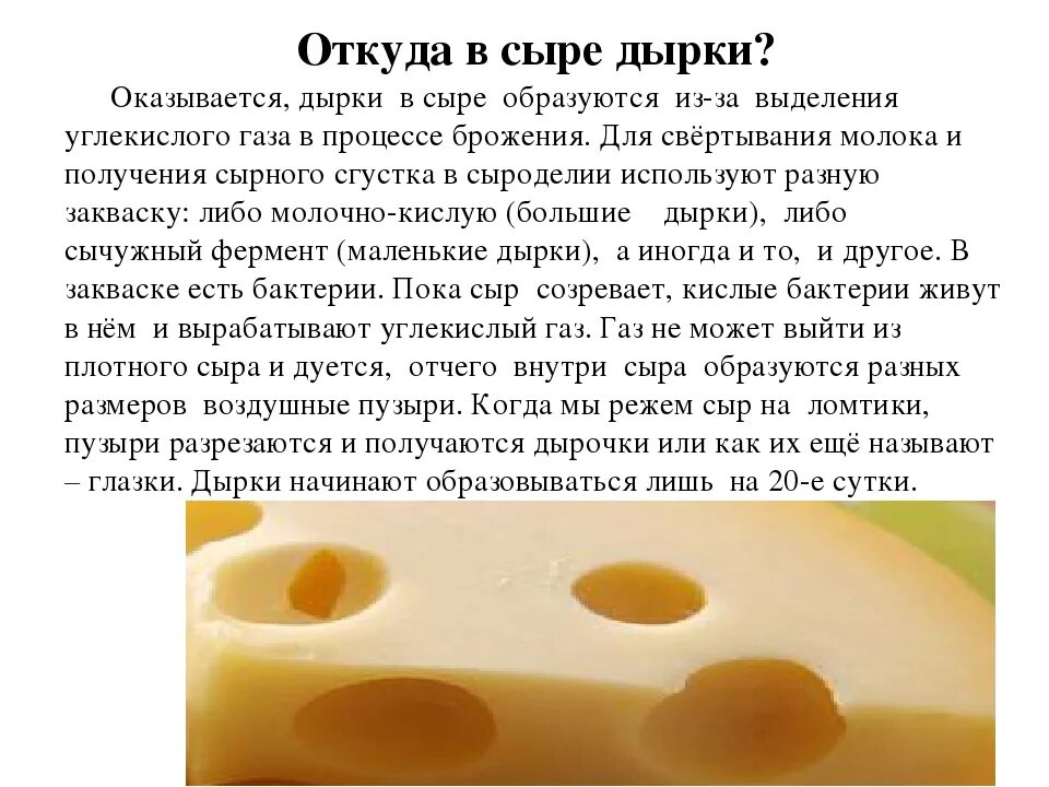 Почему сыр не получился. Откуда в сыре отверстия. Почему в сыре есть дырки. Почему в сыре есть дырочки. Почему появляются дырки в сыре.