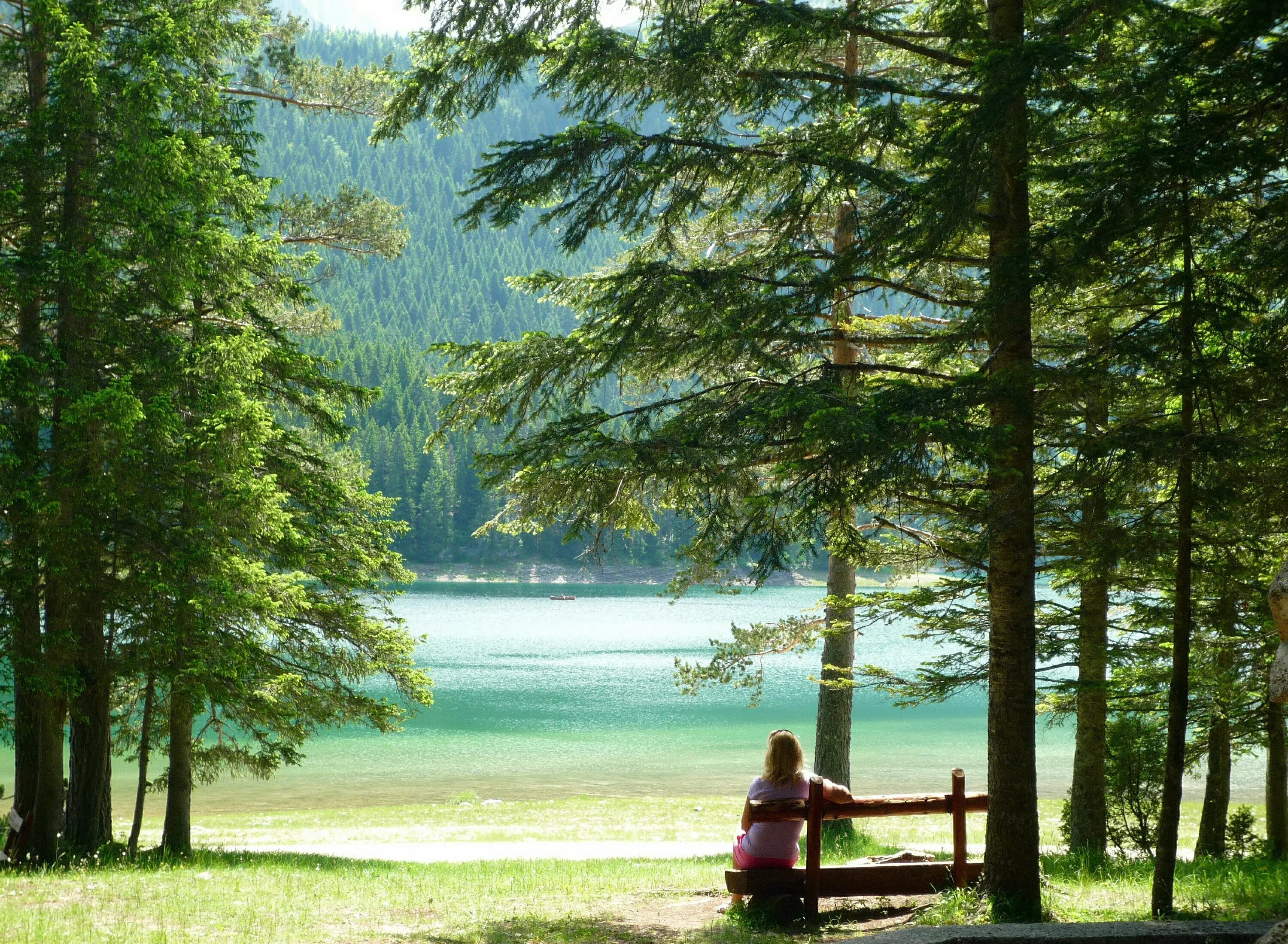 Спокойный пейзаж. Покой природа. Природа спокойствие. Спокойное озеро. Окружающее спокойно