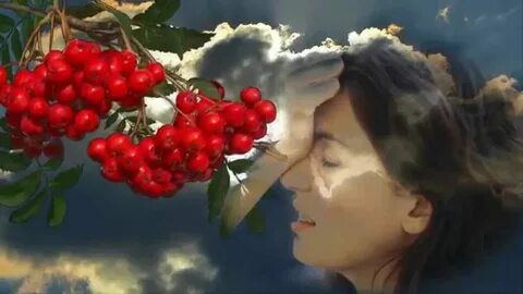 Песня рябиновые рябиновая грусть