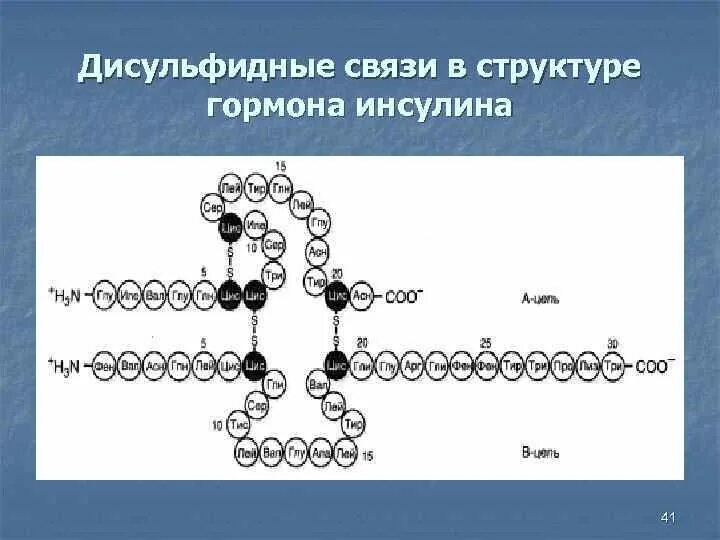 Образование дисульфидных связей в белке. Дисульфидный мостик структура белка. Дисульфидная связь в структуре белка. Дисульфидные связи структура белка. Дисульфидные мостики в белках структура.