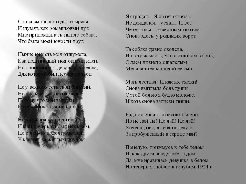 Стих есенина сукин сын. Стих есенина сукин. Стих есенина сукин. Стих есенина сукин. Стих есенина сукин.