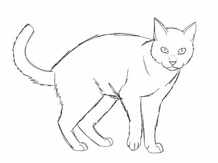 Кошка чертеж
