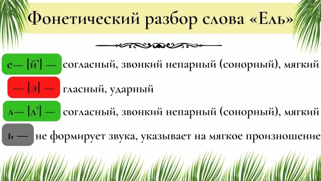 Ела звуко буквенный разбор. Анализ слова ель. Ель звуко-буквенный разбор. Звукобуквенный анализ слова ель. Звуко буквенный анализ слова ель.