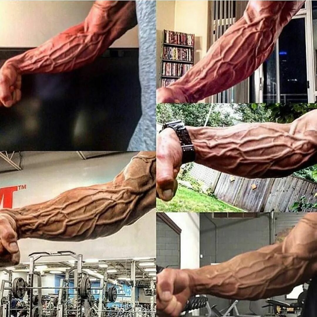Как выглядят вены на руке Pinterest Arm veins, Hand veins, Veiny arms