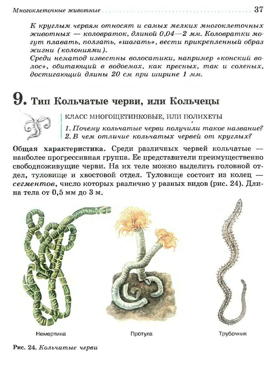 Биология 7 класс латюшин шапкин. Биология 7 класс шапкин. Учебник 7 класс латюшин читать. Биология 7 класс шапкин. Биология 7 класс латюшин шапкин.