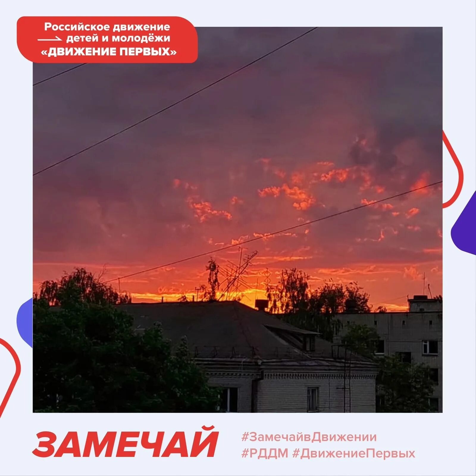 Акция добро в движении движение первых. Акции движения первых. движение первых брянск. акции движение первых 2025.