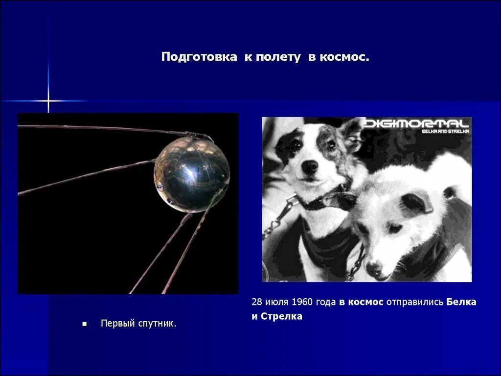 Белка и стрелка в космосе история полета. Гагарин и белка и стрелка. Белка и стрелка полёт в космос. Белка и стрелка в космосе. Белку и стрелку полет в космос.
