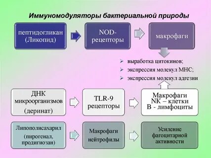 Иммунные супрессоры