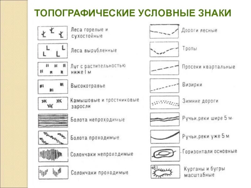 Условные знаки географии план местности. Обозначение топографических картах география. Топографические обозначения на карте 5 класс география. Обозначение лесн на топографических картах. Обозначения на топографических картах расшифровка 5 класс.