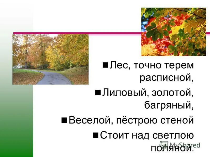 лес точно терем расписной текст. лиловый золотой багряный бунин. точно терем расписной лиловый золотой багряный. лес, точно терем расписной,. бунин иван алексеевич лес точно терем расписной.