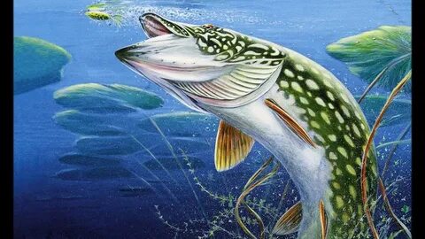 Щукой рыбою ходить ему в глубоких морях
