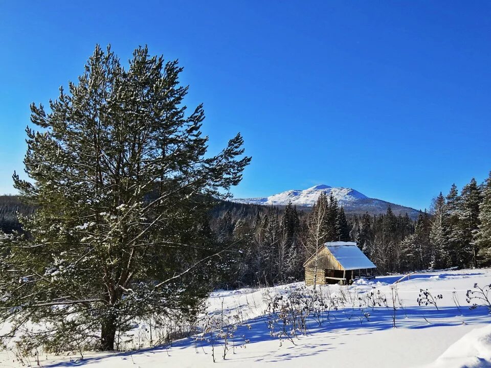 Куровское железнодорожный поселок. Поселок 9 капитальная в донецке фото. Украина поселок 9 шахты. Спасибо за внимание план местности. Зональное стройка.