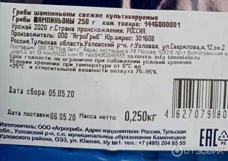Срок годности шампиньонов в холодильнике свежих
